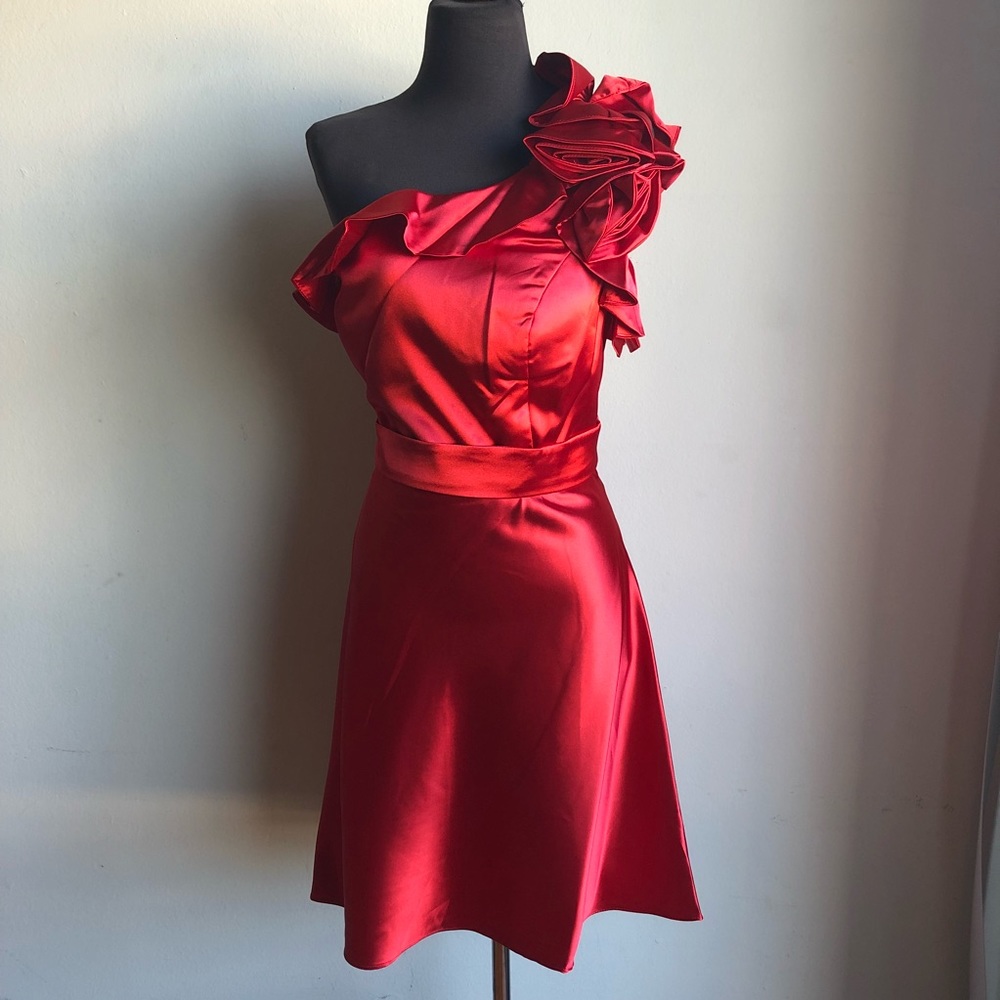 Cinderella Divine beautiful ruffle cocktail dress - Picture 2 of 8